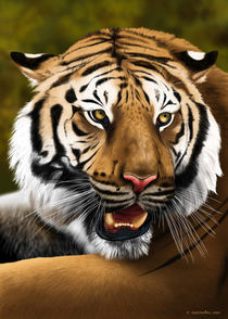 Tiger by Fernando Ferreiro