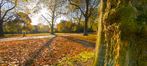 London, Hyde Park in Autumn by Alan Copson