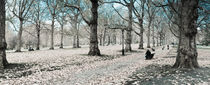 'London, Green Park in Autumn' von Alan Copson