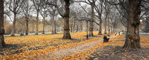 London, Green Park in Autumn by Alan Copson