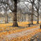 'London, Green Park in Autumn' by Alan Copson