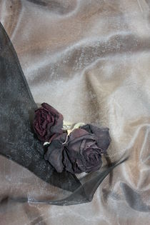 Zwei schwarze Rosen 1 by Edeltraut K.  Schlichting