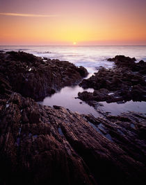 Sunset at Westward Ho!, Devon, England. von Craig Joiner