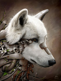 Wild 1 - The Wolf von Benjamin FRIESS