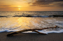 Beach Sunset von Craig Joiner