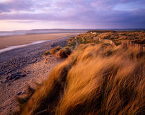 Sand Dunes at Westward Ho!, Devon, England. von Craig Joiner