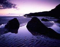 Coombesgate Beach, Devon, England. von Craig Joiner