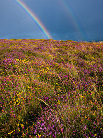 Selworthy Beacon Rainbows by Craig Joiner
