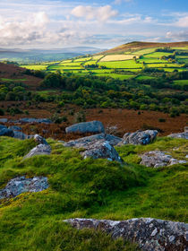 Hayne Down, Dartmoor by Craig Joiner