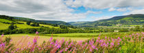 The Usk Valley, Crickhowell by Craig Joiner