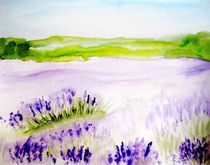 Lavendelfelder by Maria-Anna  Ziehr