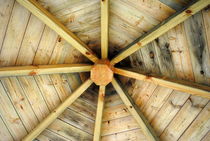 Dach by tinadefortunata