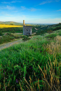 Wheal Betsy Engine House, Dartmoor by Craig Joiner