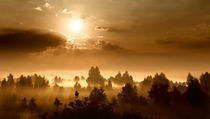 Foggy Dawn by Maxim Khytra