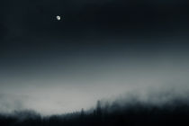Silent night by David Pinzer