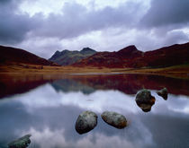 Blea Tarn and the Langdale Pikes, Cumbria von Craig Joiner