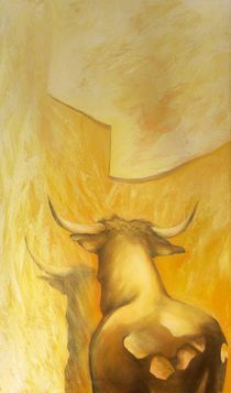 Stier im Morgenlicht by Renate Berghaus