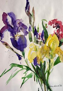 Blaue und gelbe Iris von Beate Steinebach
