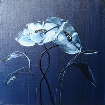 blue velvet I by ilonka Walter