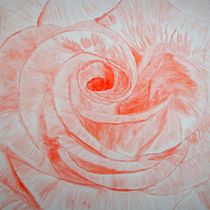    Rote Rose von Günther Roth