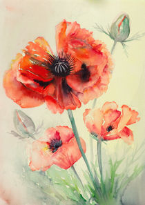 Roter Mohn II by Rainer Eichelberg