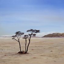 Namib by RAINER PFANNKUCH