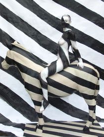 Zebra stripes by Kurt Röhrken