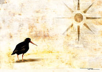 Vogel in der Sonne von J. Jesus Fernandez (JJFEZ)