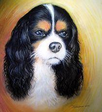 Hundeportrait in Pastell by Daciana Lucia Deufel