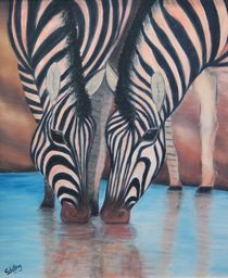 Durstige Zebras von Jochen Schilling