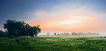 Foggy Dawn 2 by Maxim Khytra