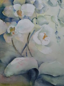 Weiße Orchidee von Stefanie Ihlefeldt
