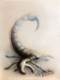 Skorpion II by Gabriel Bur