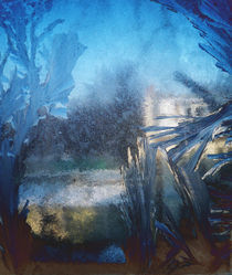 Eisblumenlandschaft by Reiner Poser