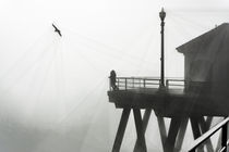 Huntington Beach Pier in Fog with a Seagull by Eye in Hand Gallery