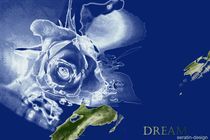 Dream Rosencreation by Martina Ute Rudolf
