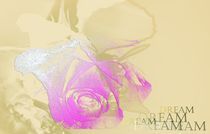 Rose of life, Blume der Liebe, Flower of love,dreamrose by Martina Ute Rudolf
