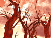 Fire Trees von Eric Nagel