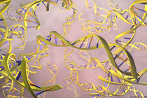 DNA von Eric Nagel