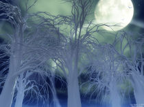 Moonlight Forest von Eric Nagel