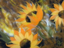 Wollbild Sonnenblumen 3 by Birgit Albert
