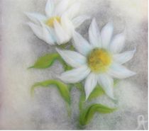Soft Flowers by Birgit Albert