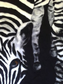 Zebra 4 by Birgit Albert