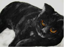 schwarze Katze by Birgit Albert