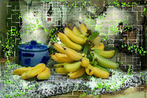 Bananen im Gitter von Nikola Hahn
