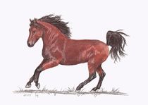Das Braune Pferd von lona-azur