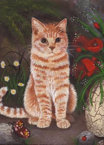 Rote Katze by lona-azur
