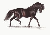 Das Schwarze Pferd von lona-azur