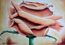 Rose by harmic-art