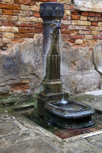 Brunnen in Venedig von Premdharma S. Gartlgruber